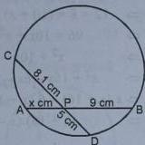 img-42.jpeg